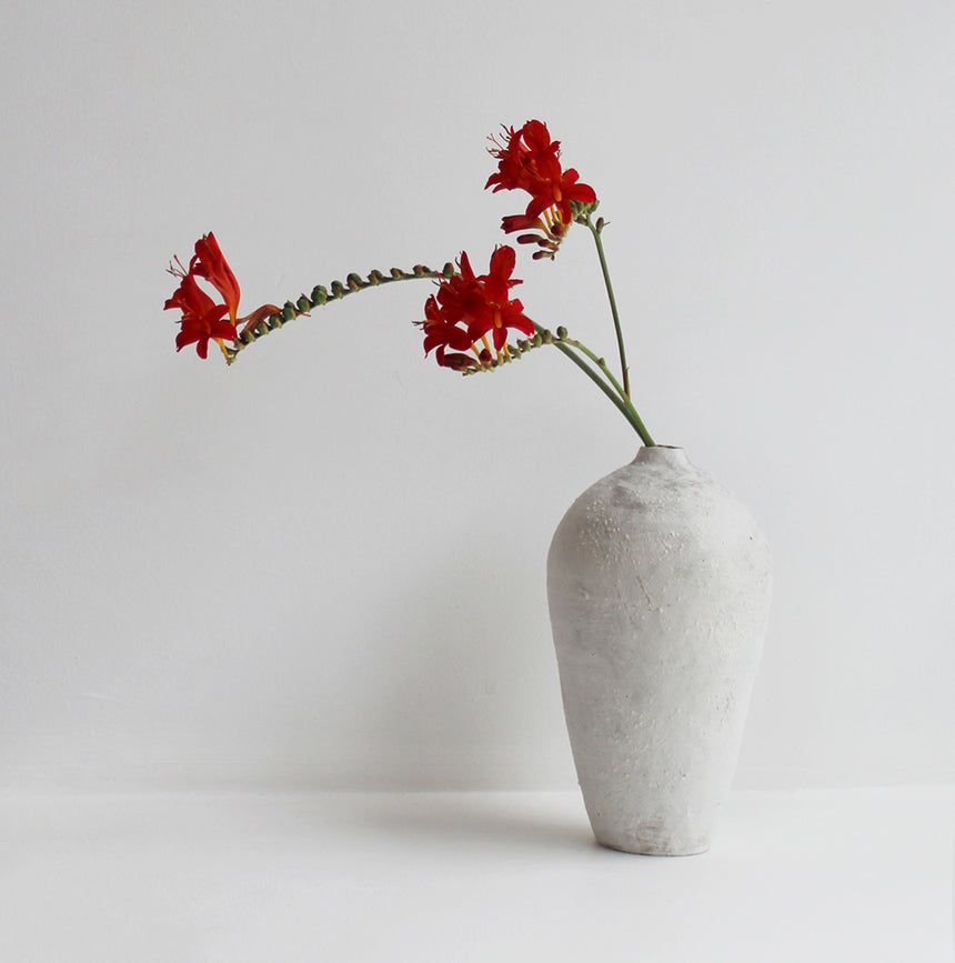 Wild Clay Vase II
